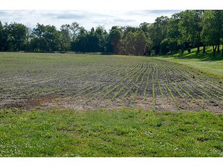 Property photo 22 - FARM & LAND AUCTION - 125+/- ACRES OFFERED IN 5 TRACTS IN EAST ALLEN COUNTY, INDIANA